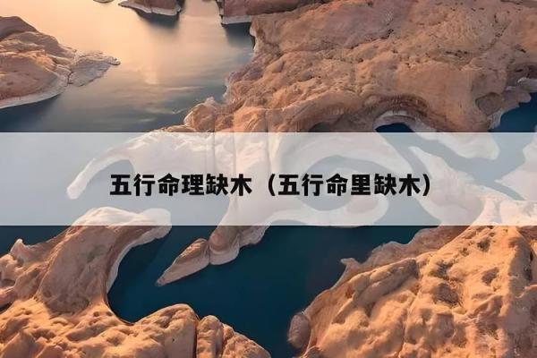 属虎女命里缺金，如何选择适合的命理搭配