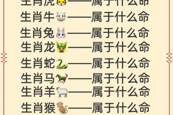 金水相生，木命探秘：生命中的五行密码