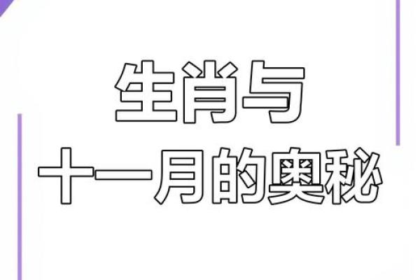 香港出生的宝宝属什么生肖？揭秘生肖的奥秘与命运