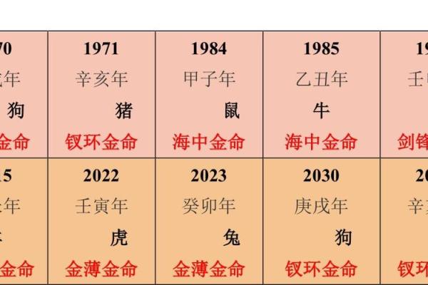木命孩子为何选择土命者担任干妈的秘密揭示