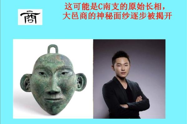 1988年是什么年，属什么命？解密1988年的神秘面纱！