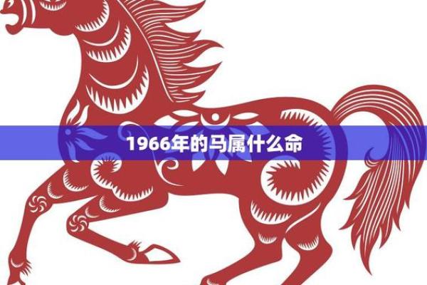 1990年属马人的命运与幸福之路解析