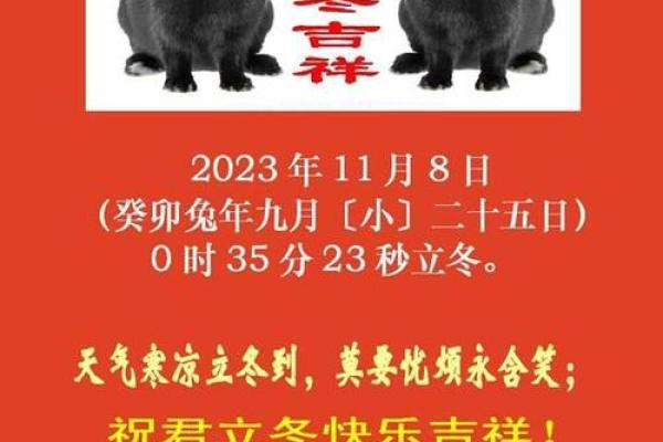 2023年农历兔年:兔年人的命运与运势解读指南 2023年农历兔年:兔年人的命运与运势解读指南