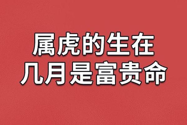 探究“倒命”一词的深意及其文化背景