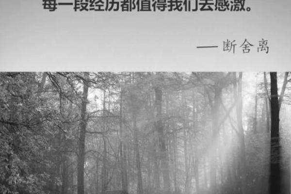 1994年4月30日出生的人生命运解析与启示 1994年4月30日出生的人生命运解析与启示