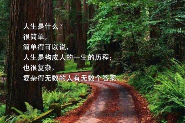 探索1978年腊月出生的人生命运与性格特征