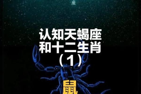 属鼠人的性格与命运：探索鼠年生人的特质与生命之旅