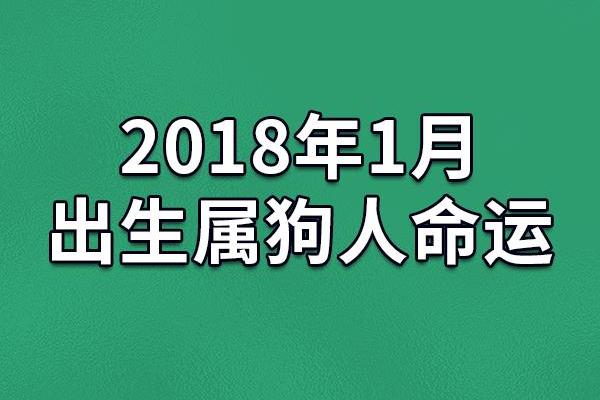 探索1935年出生属相的命格与人生运势 探索1935年出生属相的命格与人生运势