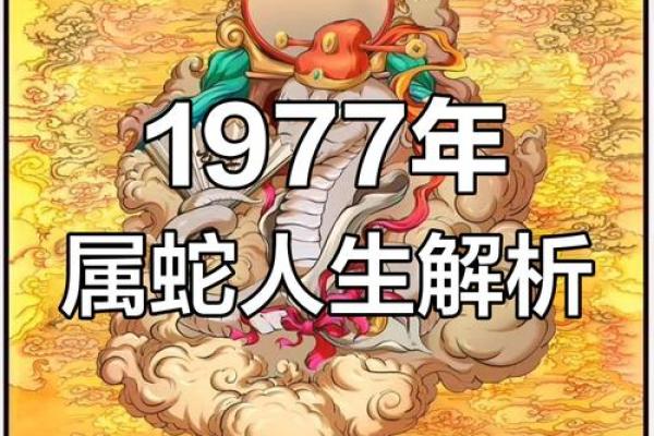 命兴旺：探索命运与成功之间神秘的联系