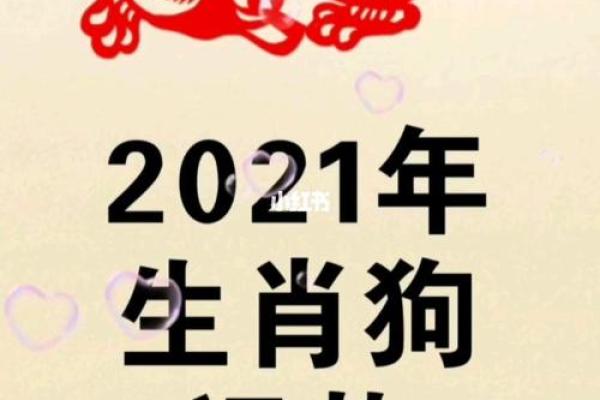 2026年属什么年——探秘兔年命运与个性之旅