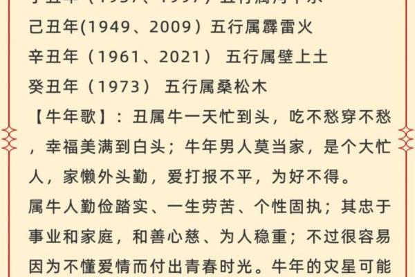 1986年属虎，如何解析其五行命理与性格特征？