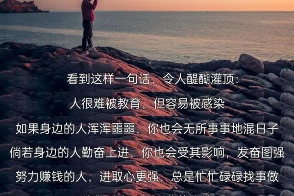 揭秘辛巳命:如何理解与提升你的命运智慧 揭秘辛巳命:如何理解与提升你的命运智慧
