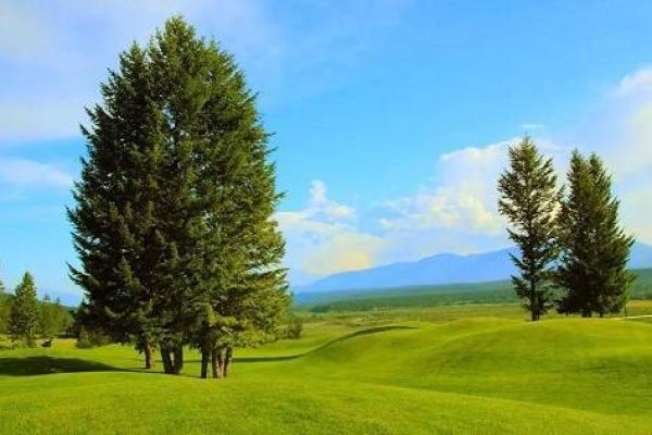 1990年出生的木命人:命理解析与生活启示 1990年出生的木命人:命理解析与生活启示