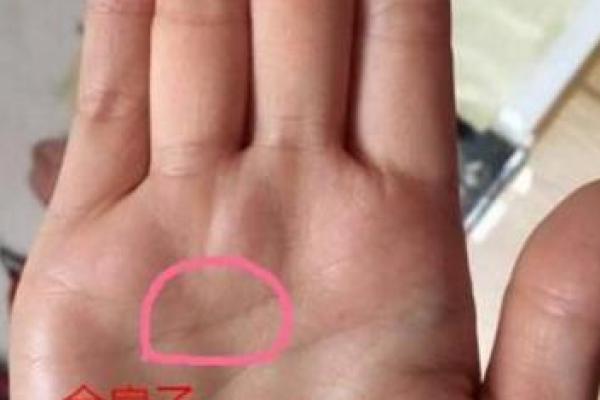 家里有矿的人注定富贵,命理背后的秘密探讨! 家里有矿的人注定富贵,命理背后的秘密探讨!