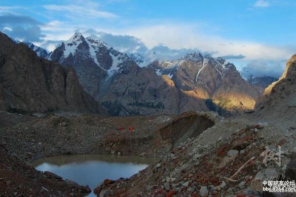 2019年属于木命，探寻木之精髓与生命的奥秘