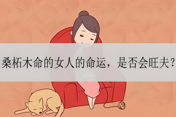 木命缺水的人适合从事哪些职业？探寻职业选择的最佳方向！