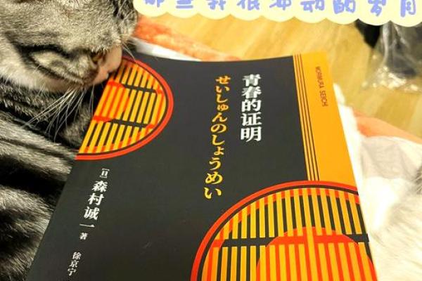 探索婚姻之命：女人在婚姻中的角色与命运