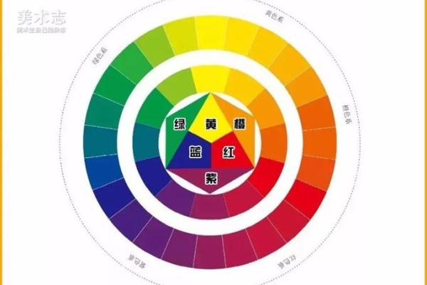 大泽土命与色彩的和谐之道：找到适合你的颜色