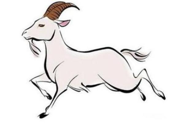 解读1937年出生的人：属相、命运与生活智慧