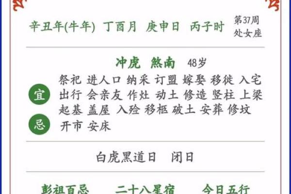 甲辰年：探秘农历中的属相与命理奥秘