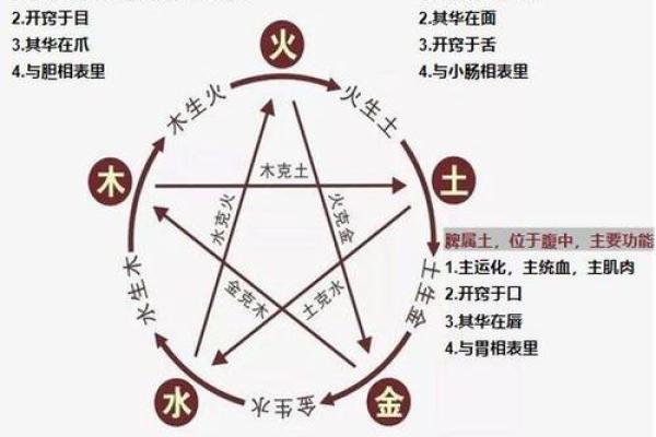 探秘土命与五行相克相冲的奥秘，寻求和谐之道