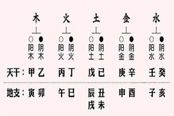 秋天出生的人属什么命：解析秋季命理与个性特征