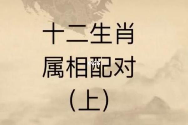 根据生肖命运解析:你的生肖是什么命运的窗户? 根据生肖命运解析:你的生肖是什么命运的窗户?