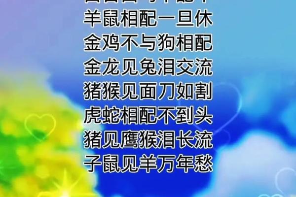 六合之鸡:1969属鸡人的命运解析与人生智慧 六合之鸡:1969属鸡人的命运解析与人生智慧