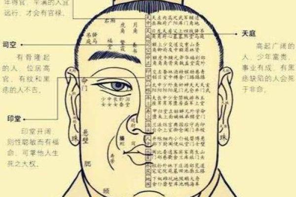 面相解读:命短孩子的面相特征与解读指南 面相解读:命短孩子的面相特征与解读指南