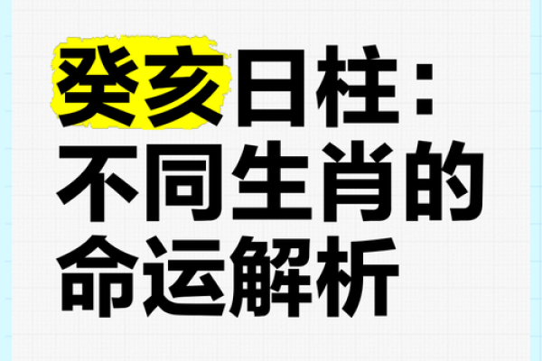 辛亥乙巳辛亥命理解析:探秘命运背后的深意与智慧 辛亥乙巳辛亥命理解析:探秘命运背后的深意与智慧