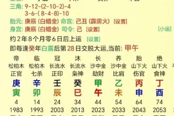 辛亥乙巳辛亥命理解析:探秘命运背后的深意与智慧 辛亥乙巳辛亥命理解析:探秘命运背后的深意与智慧