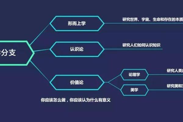 探讨“好丑命注定”的深层含义与人生哲学 探讨“好丑命注定”的深层含义与人生哲学