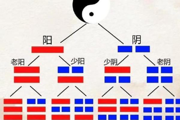 探索天宫贵人命格的奥秘,揭秘命理背后的力量与智慧 探索天宫贵人命格的奥秘,揭秘命理背后的力量与智慧