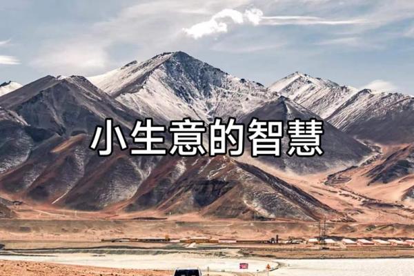 探索石榴木命的商业潜力:适合的生意与发展方向 探索石榴木命的商业潜力:适合的生意与发展方向