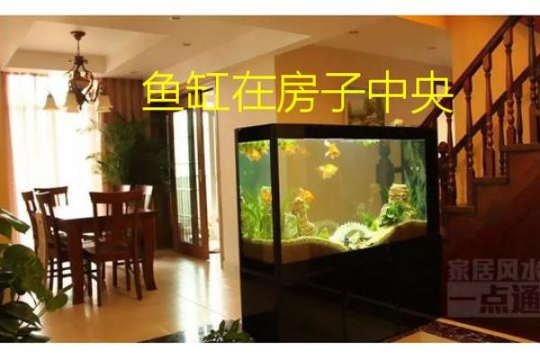 家里不宜放鱼缸的原因与影响，了解风水与健康的关系