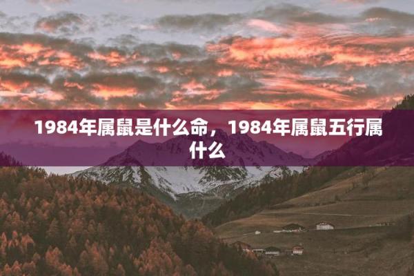 揭秘1984年出生的人：命缺什么以及如何弥补