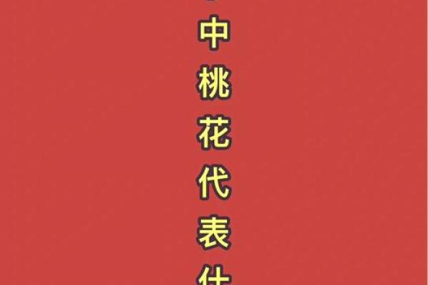 命带桃花，缘何单身？探究背后的深意与启示