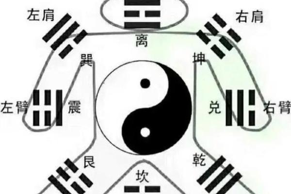 探索命卦起伏位:揭示命理与人生的奥秘 探索命卦起伏位:揭示命理与人生的奥秘