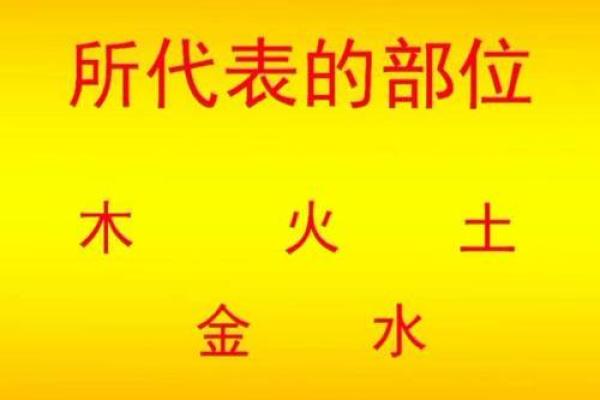大溪水命与生肖的奇妙联系：探寻五行与命理的奥秘
