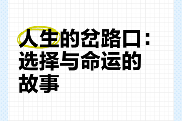 不进家的女人:她们的命运与选择的故事 不进家的女人:她们的命运与选择的故事
