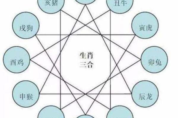 从命理角度解读矮小特征,寻求幸福与成功的智慧之路 从命理角度解读矮小特征,寻求幸福与成功的智慧之路