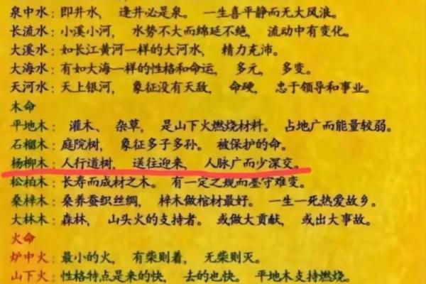 1996年属火命的独特命理解析:活力与激情的象征 1996年属火命的独特命理解析:活力与激情的象征