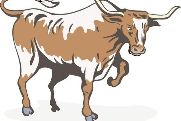 1997年属牛的人命运与性格解析：坚定与踏实的生活之道