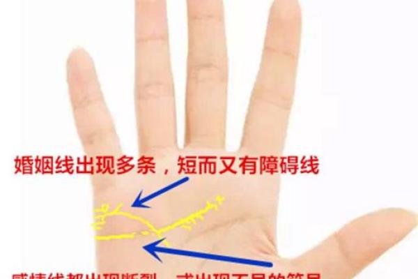屁股小的人命运解析：性格、事业与情感的独特关联