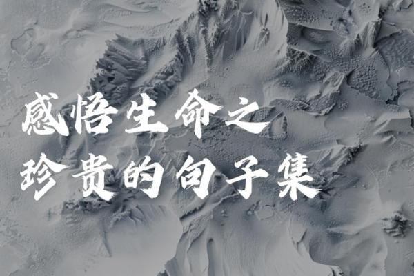 1984年属木命,探寻生命的绚烂与成长的美好旅程 1984年属木命,探寻生命的绚烂与成长的美好旅程