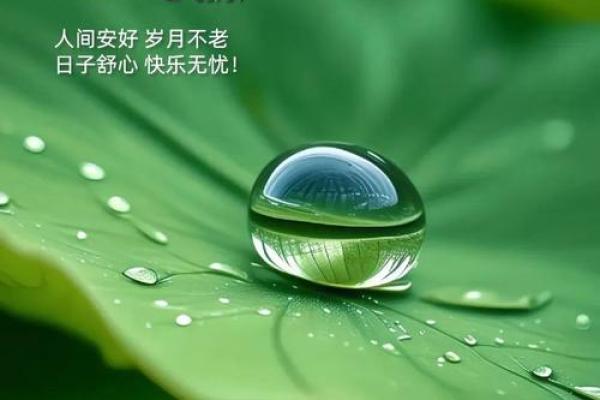 1984年属木命,探寻生命的绚烂与成长的美好旅程 1984年属木命,探寻生命的绚烂与成长的美好旅程