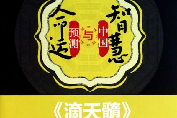 2004年出生的人命运分析与生活智慧