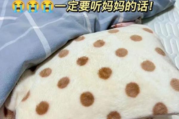 腊月出生的命格解析:冬季之子,风寒中的阳光 腊月出生的命格解析:冬季之子,风寒中的阳光