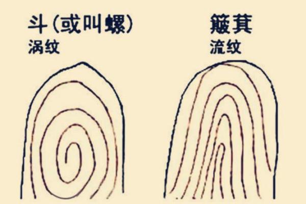 甲寅庚午丙子命解析:命运的奥秘与人生智慧 甲寅庚午丙子命解析:命运的奥秘与人生智慧