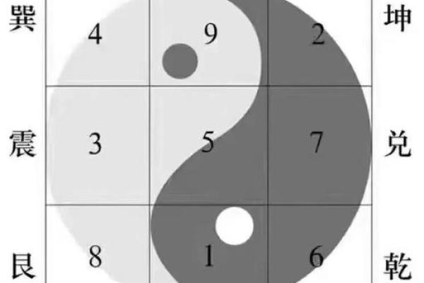 甲寅庚午丙子命解析:命运的奥秘与人生智慧 甲寅庚午丙子命解析:命运的奥秘与人生智慧